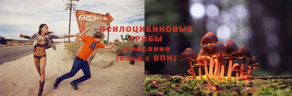 крисы Семилуки