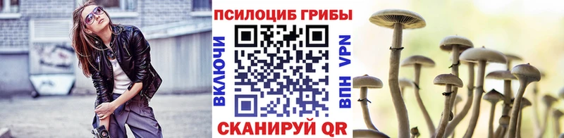 Купить закладки  Гусь-Хрустальный  Галлюциногенные грибы Psilocybine cubensis 